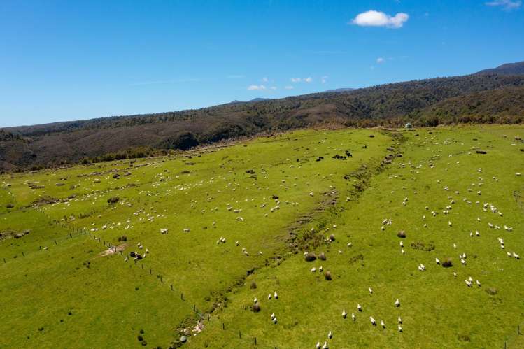 49 Quartz Range Road Bainham_38