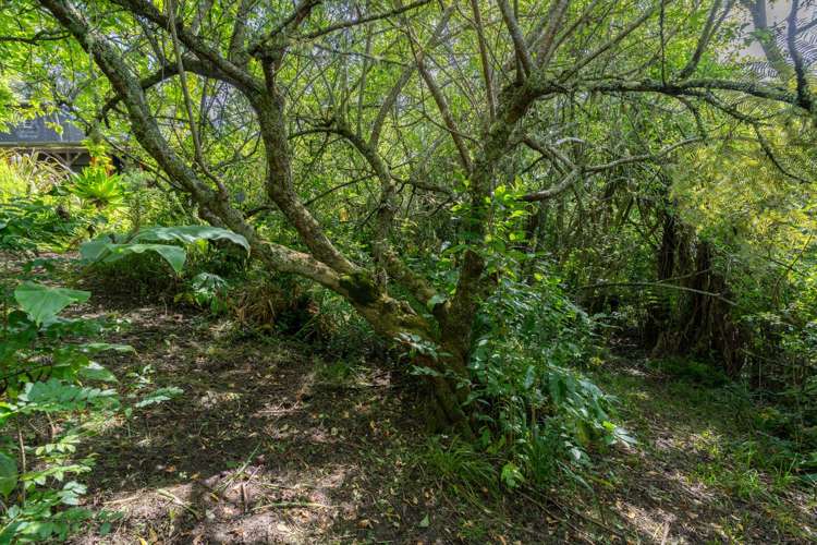 24 Cross Street Raglan_30