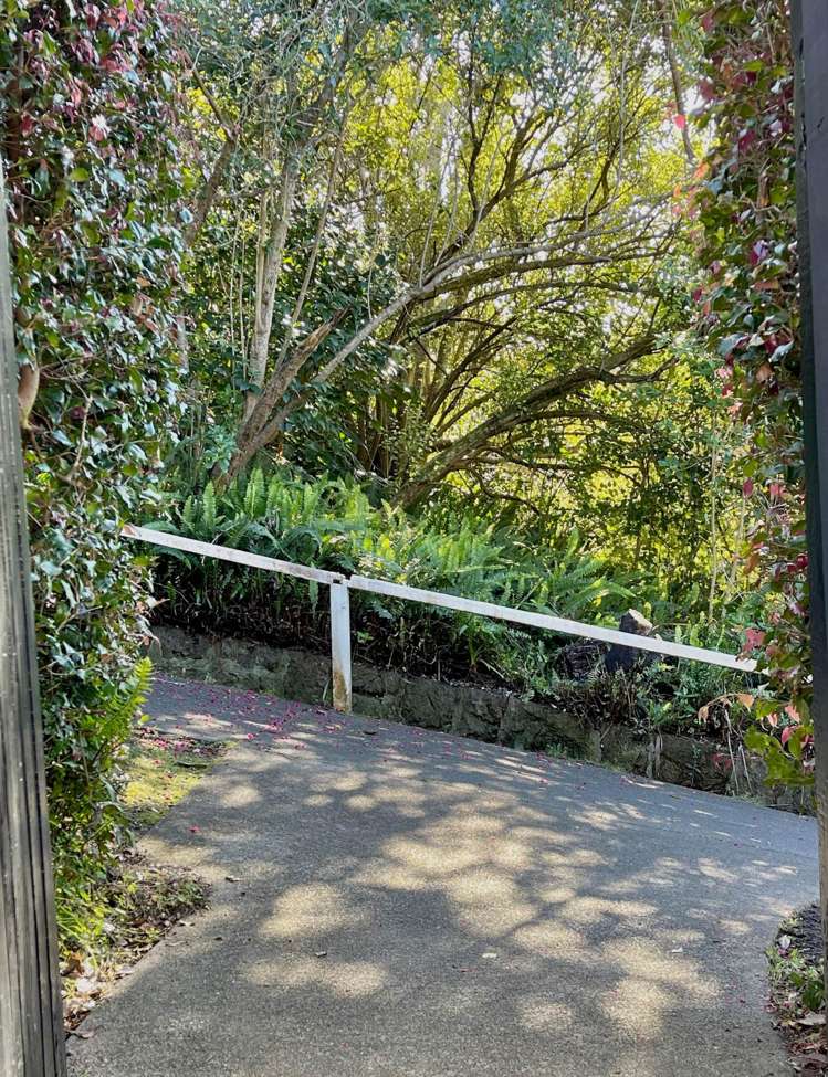 17 Shera Road Remuera_28