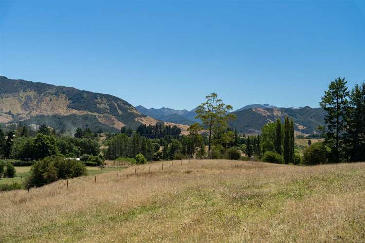 Tadmor-Bushend Road Tapawera_5