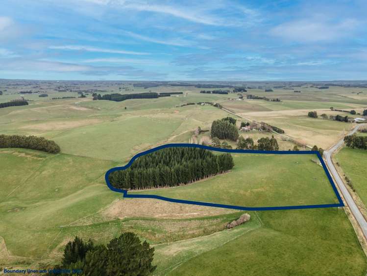 22 Paterson Road Waimumu_8