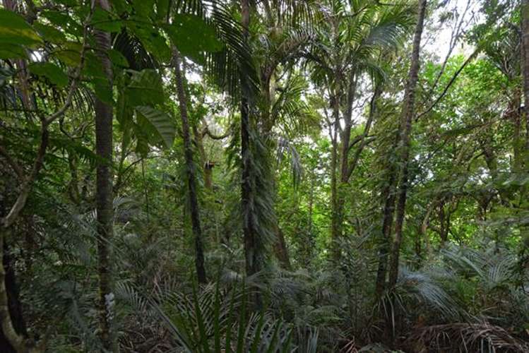 101 Attwood Road Ruatangata_10