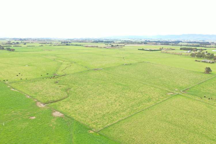 119 Pharazyn Road Feilding_7