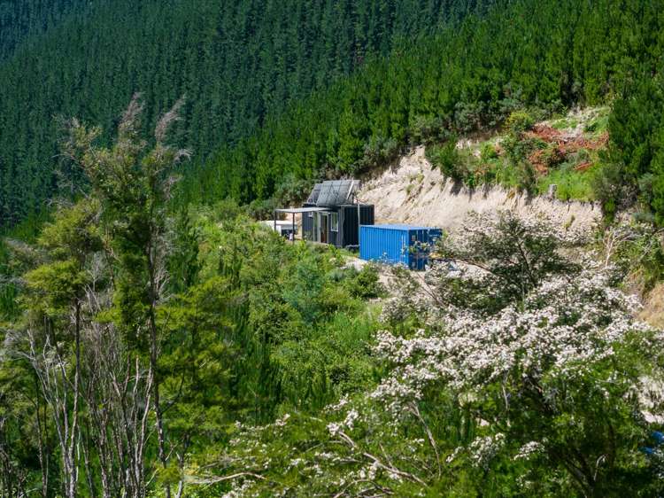 785 Waikakaho Road Tuamarina_32