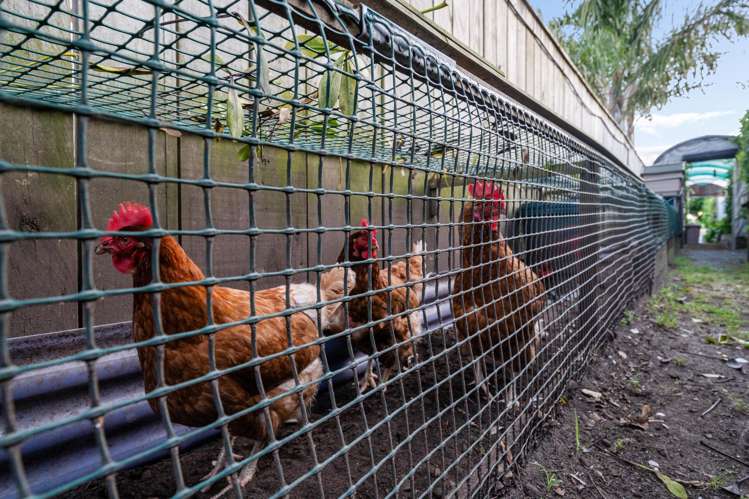 22 Butterworth Crescent Papamoa Beach_26