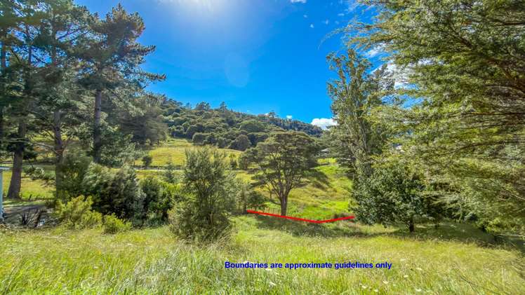 236 The Booms Avenue Thames_34