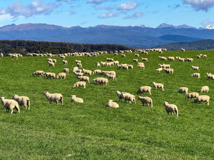 21 Lillburn Valley Road Clifden_14