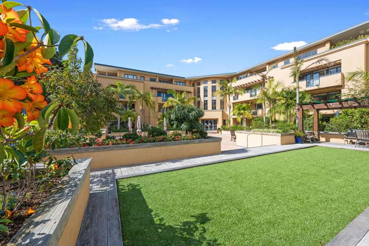 1B/9 Bute Road Browns Bay_3