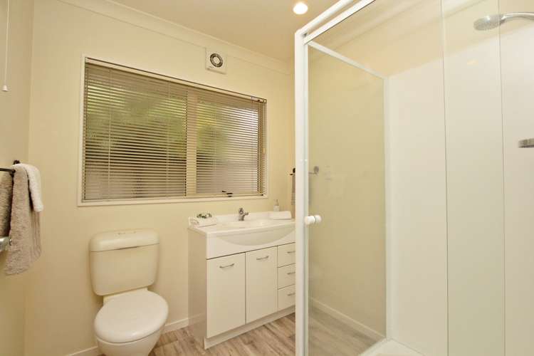 239 Guppy Road Taradale_7