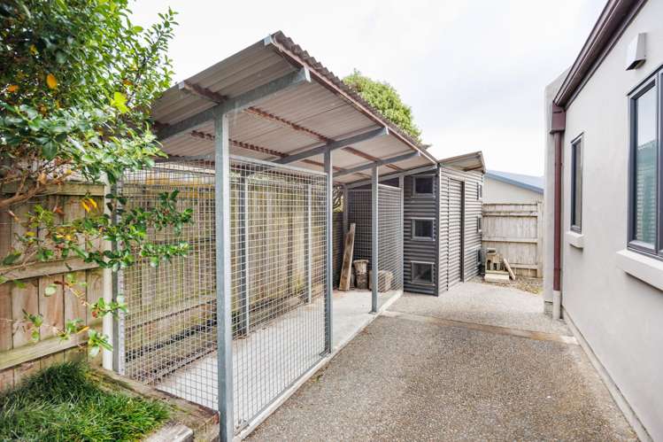 37 Abby Road Fitzherbert_23