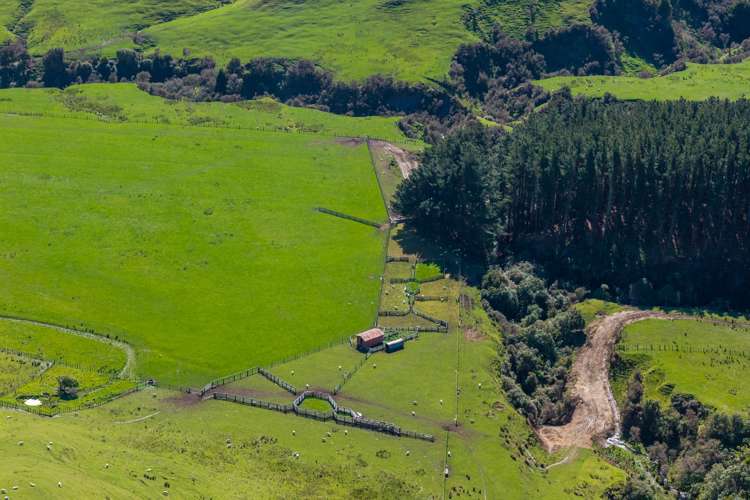 558 Pukeatua Road and 235 Otope Road Dannevirke_5