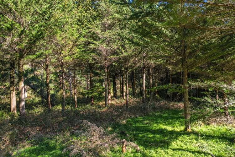 245 Sladdens Bush Road_5