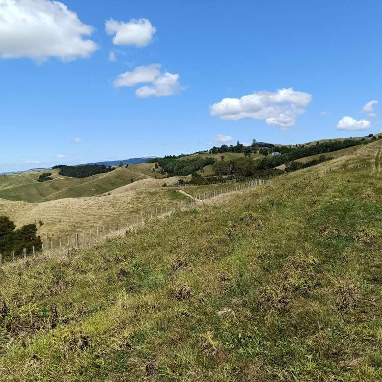 149B Torehape Road_3