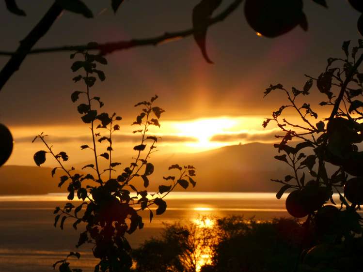 3 Kaka Road Saint Leonards_26