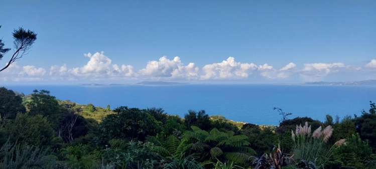 525A Tuateawa Road Tuateawa_26