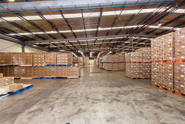 18 Ron Driver Place East Tamaki_3