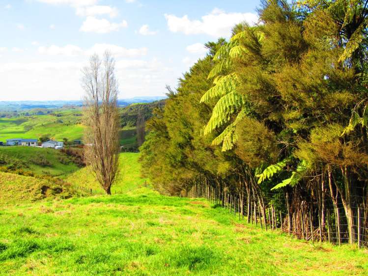 613c Fullerton Road Waitomo_0