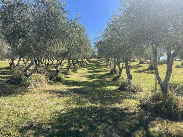 127D Ridgeview Road Redwood Valley_2