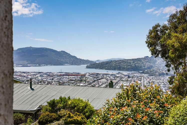 49 Earls Road Saint Clair_3