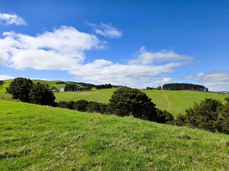 6320 State Highway 12 Dargaville_11