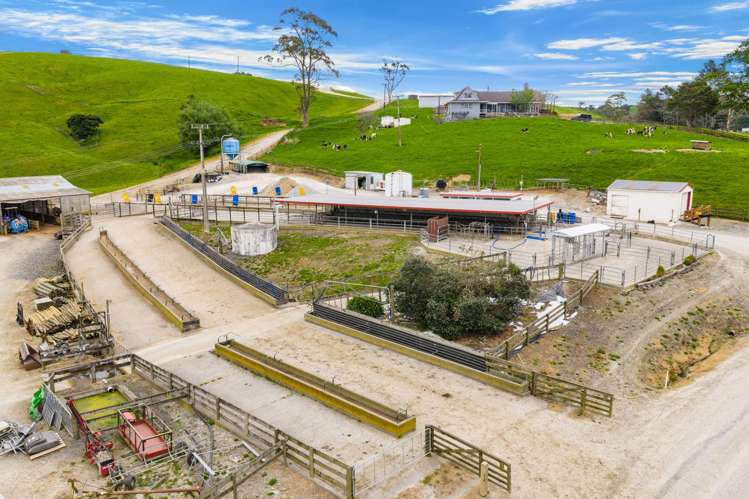 901 Pukehuia Road Tangiteroria_8