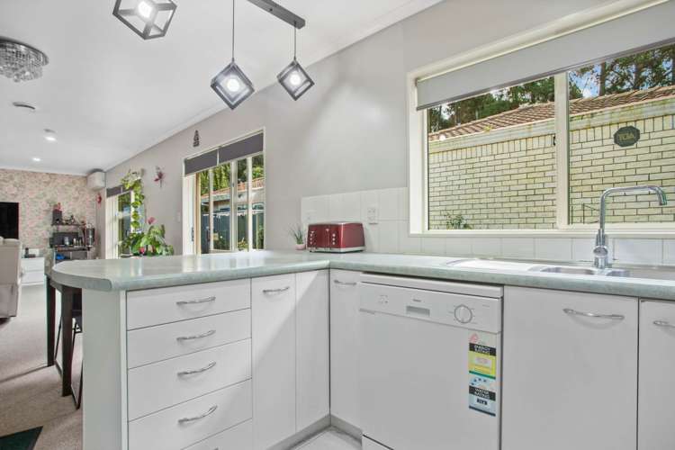 29d Riversdale Road Avondale_5