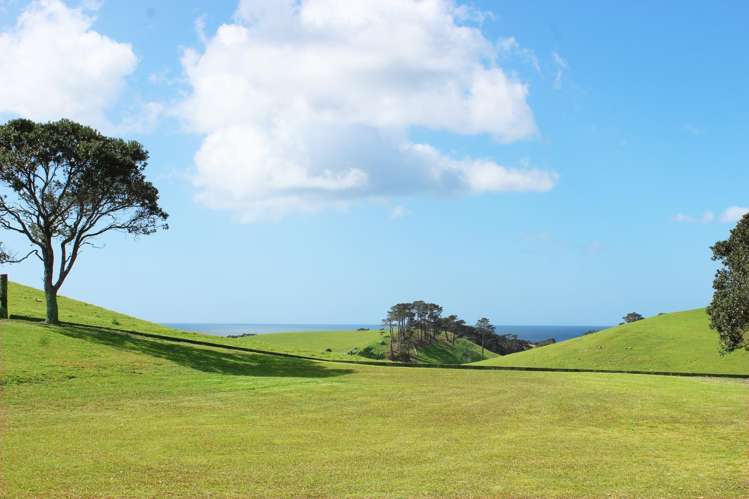 408 Taiharuru Road_1