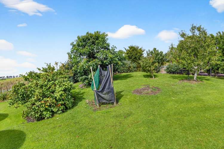 252 Oneriri Road Kaiwaka_30