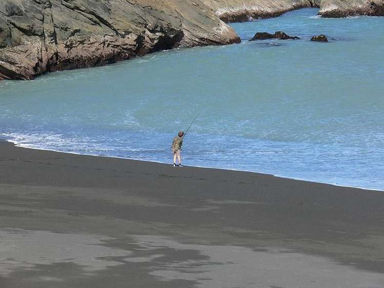 1 Mangatoetoe Grove Cape Palliser_12