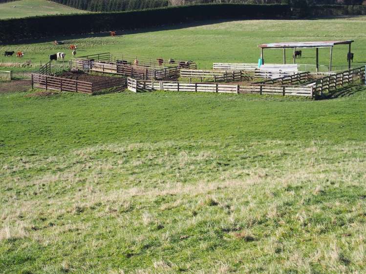 Bluff Road Sheffield_1