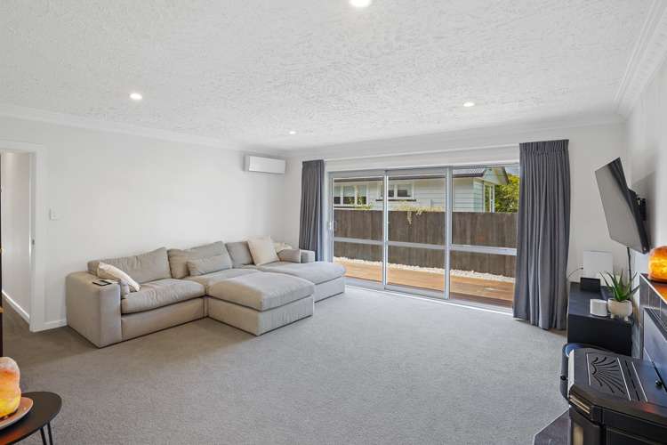 45 Emlyn Place Avondale_10