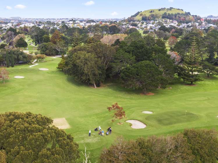 17 Handley Avenue Narrow Neck_17