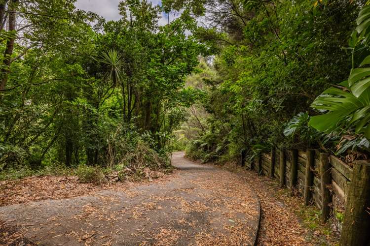 Waimangaro Road Opua_10