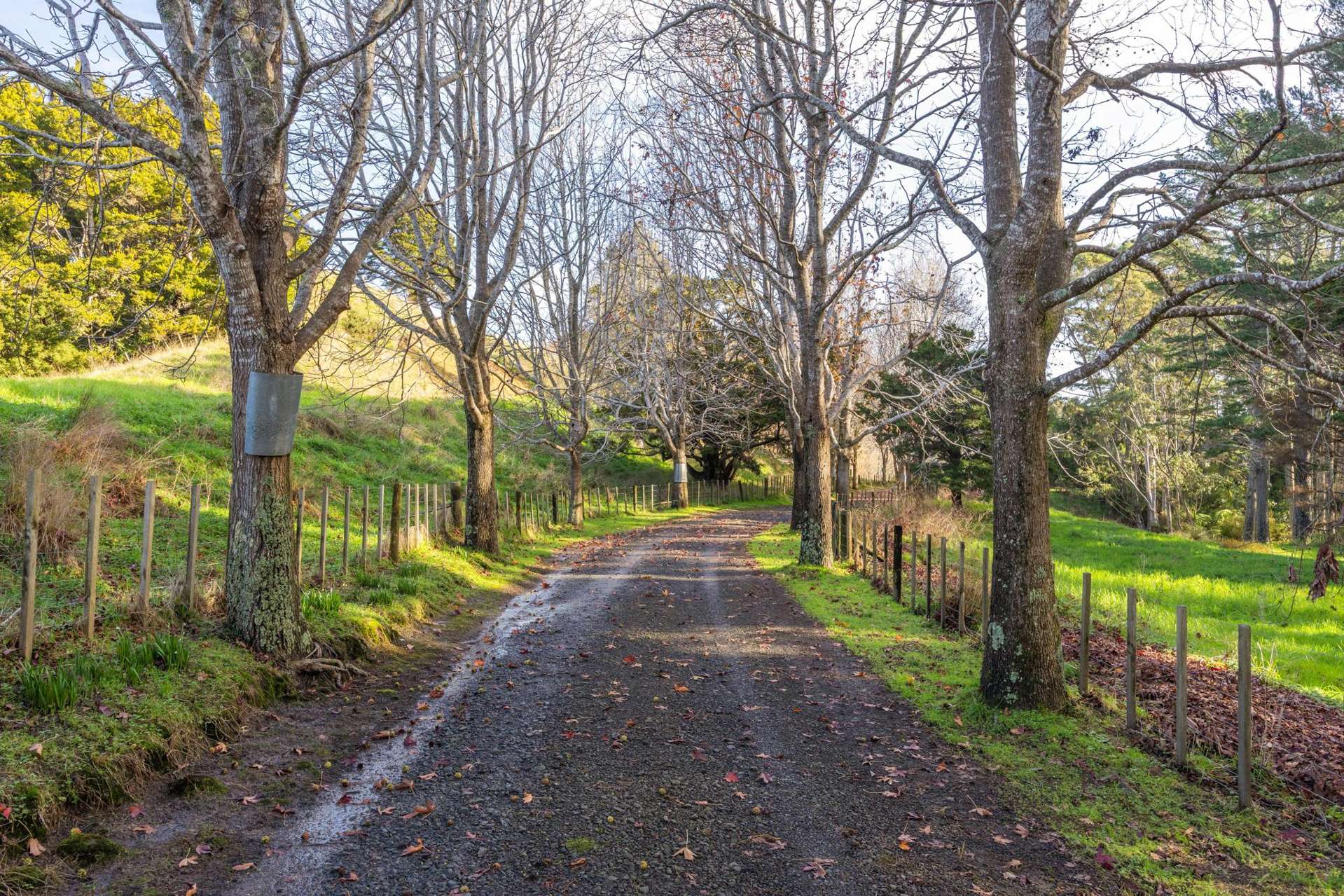 119 Wech Access Makarau_0