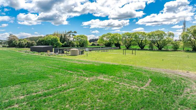 8 Barretts Road Seadown_16