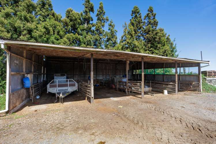 1969 State Highway 26 Morrinsville_8