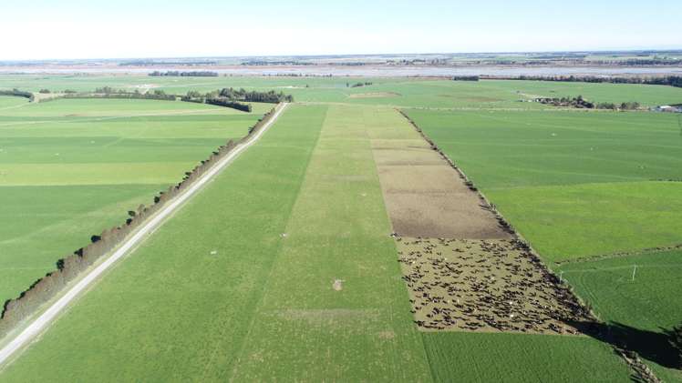 Rakaia Terrace Road Te Pirita_11