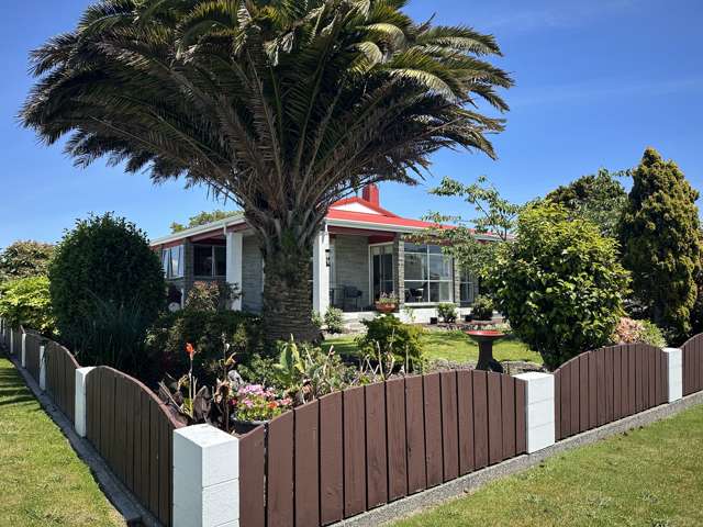 Spacious family living on a corner section