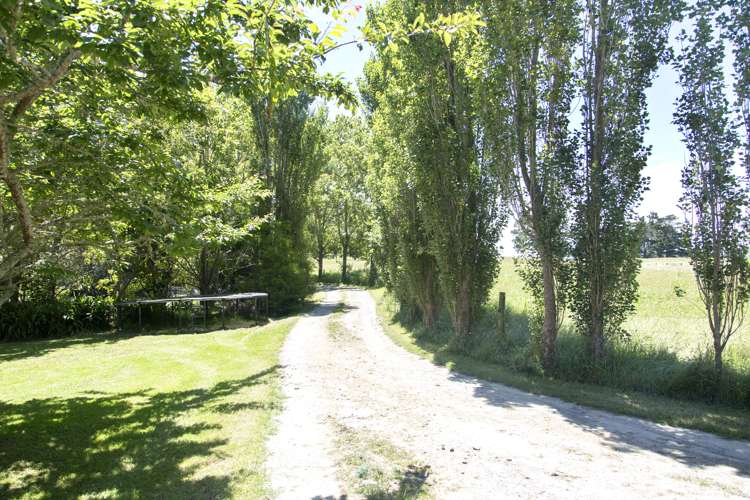 233 Tatarariki Spur Road Te Kopuru_15