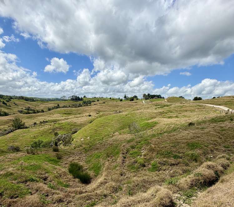 Pukehuia Road Arapohue_5
