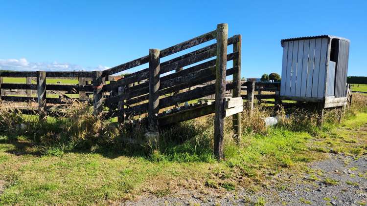 455 Surrey Road Tariki_2