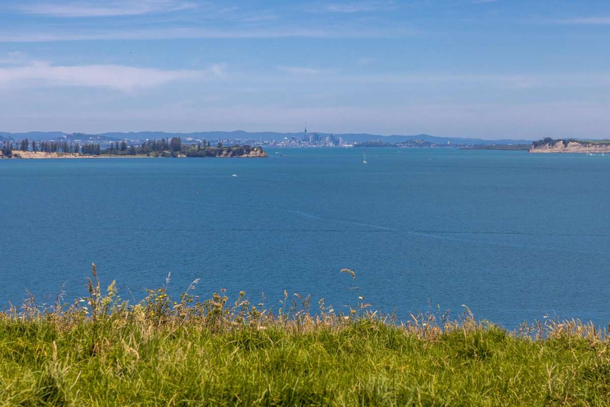 169 Nick Johnstone Drive_5