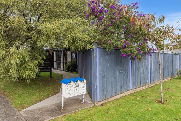 24a Princes Street Kensington_18