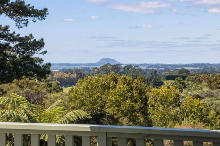 189 Thompsons Track Katikati_0