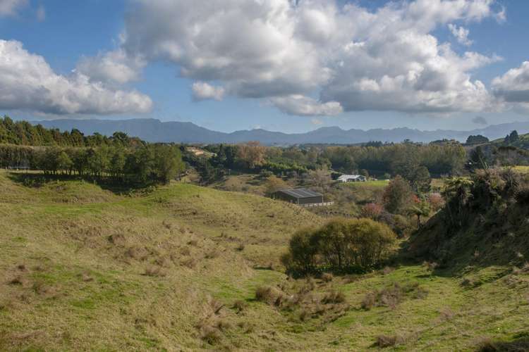 16 Turntable Hill Road Whakamarama_10