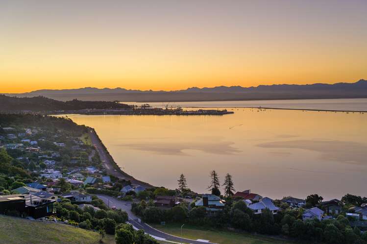 Bay View Road Atawhai_0