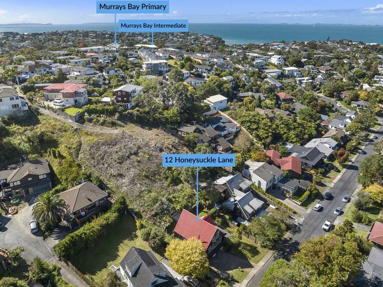 105 Windsor Road Bellevue_9