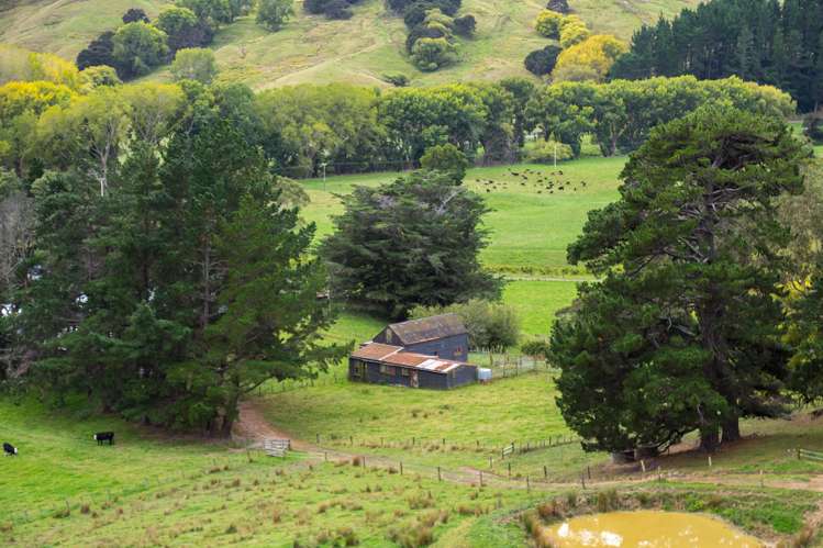 3160 Masterton Castlepoint Road Mangapakeha_18