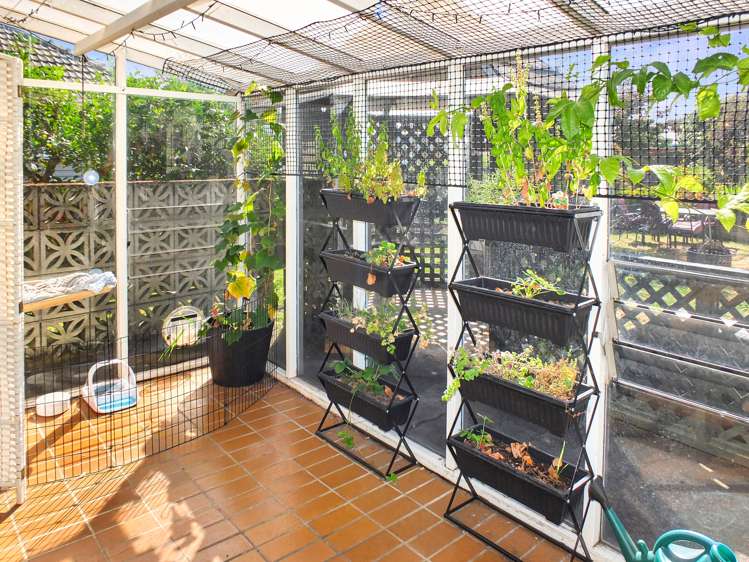 11 Norbiton Road Foxton_18