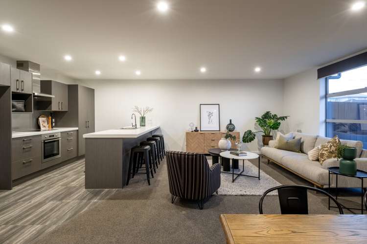 31 Seddon Street Sydenham_9